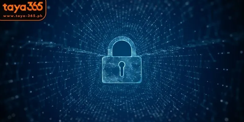 Core Principles of Privacy and Security at Taya365