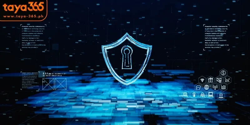Security and Information Safety