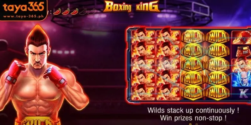 Overview of Boxing King