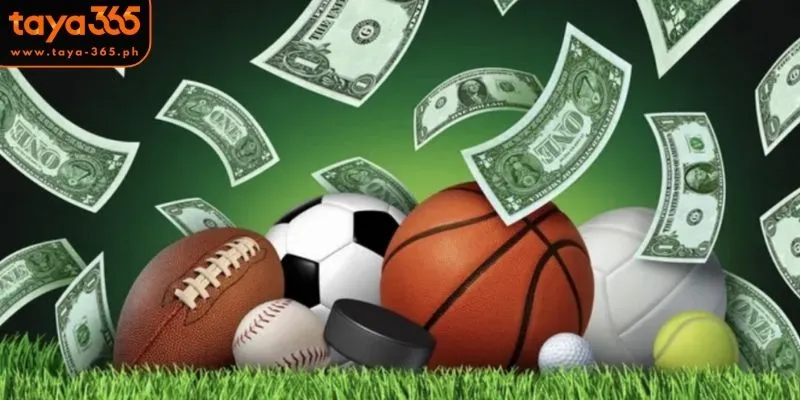 Popular Sports That Draw Massive Followings