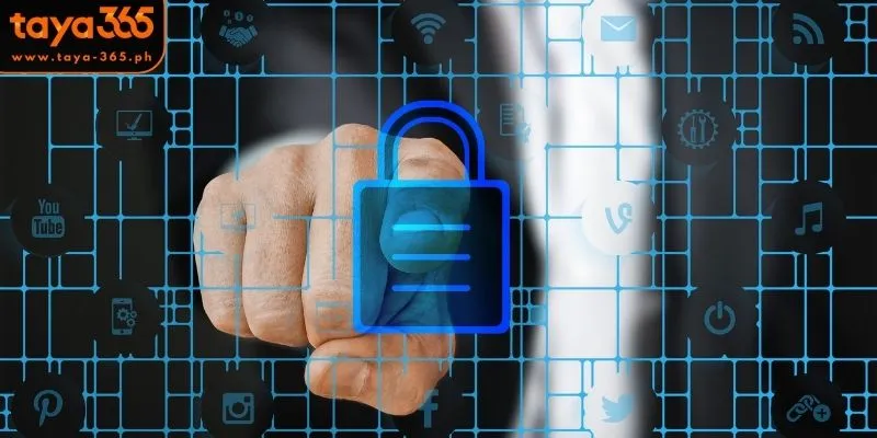 What is Taya365 Privacy and Security?