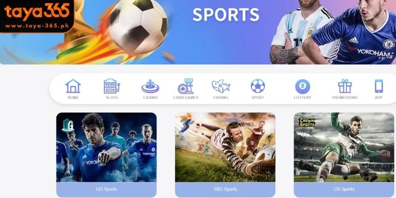 Key Sportsbook Taya365 Halls You Need to Know
